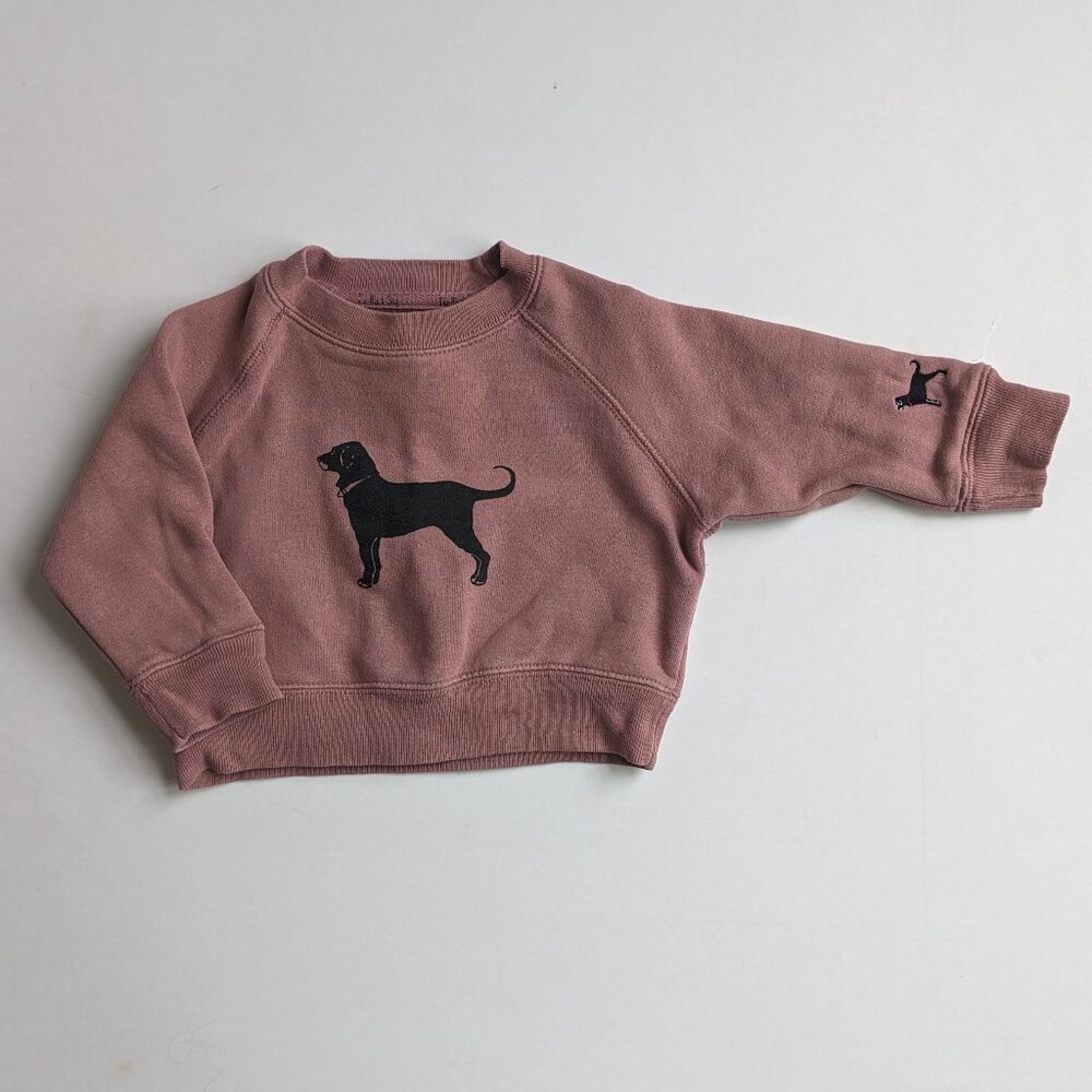 The Black Dog Sweatshirt 0-6mo